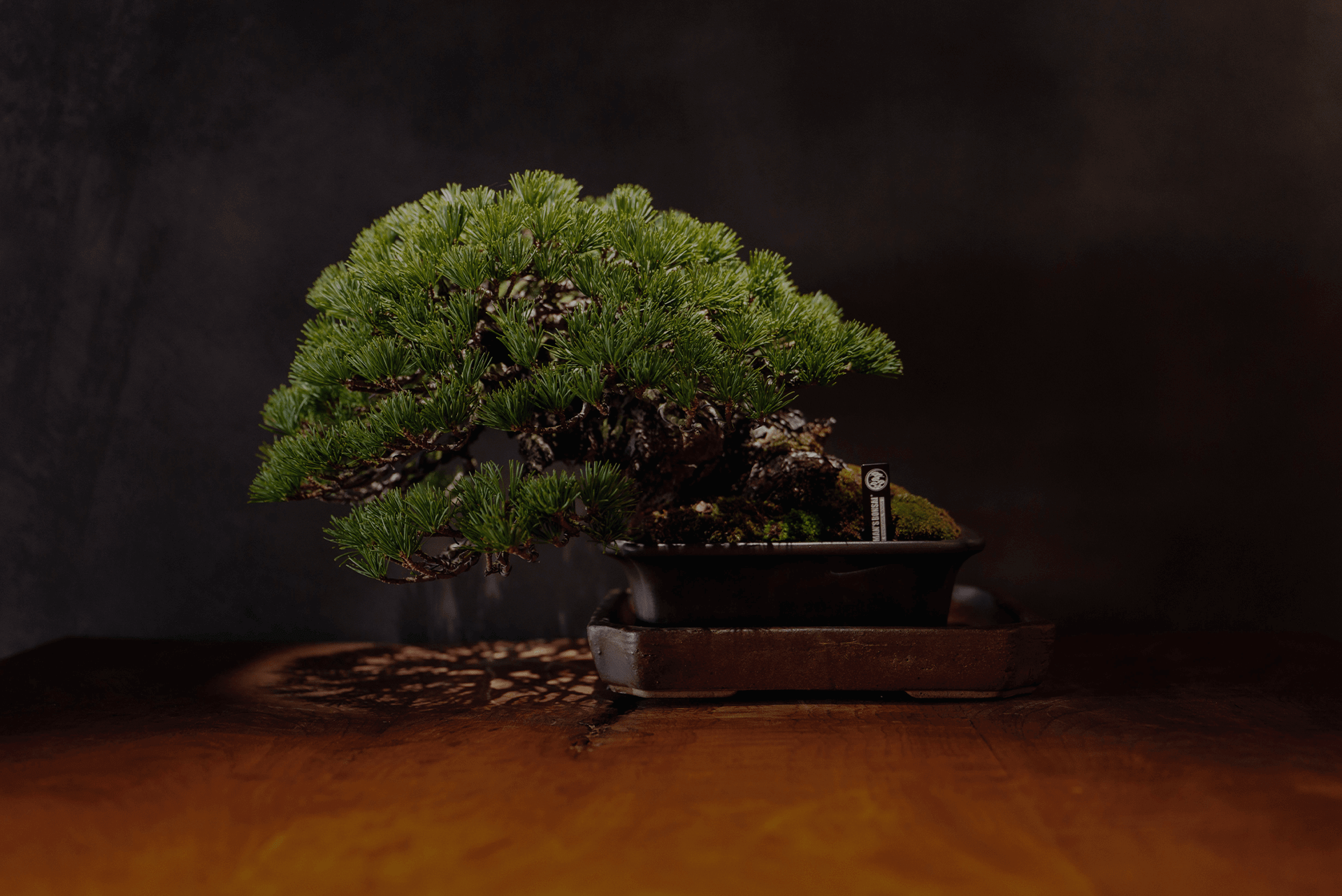 松葉屋茶寮