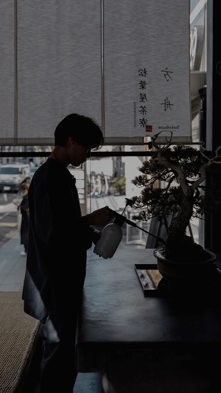 松葉屋茶寮